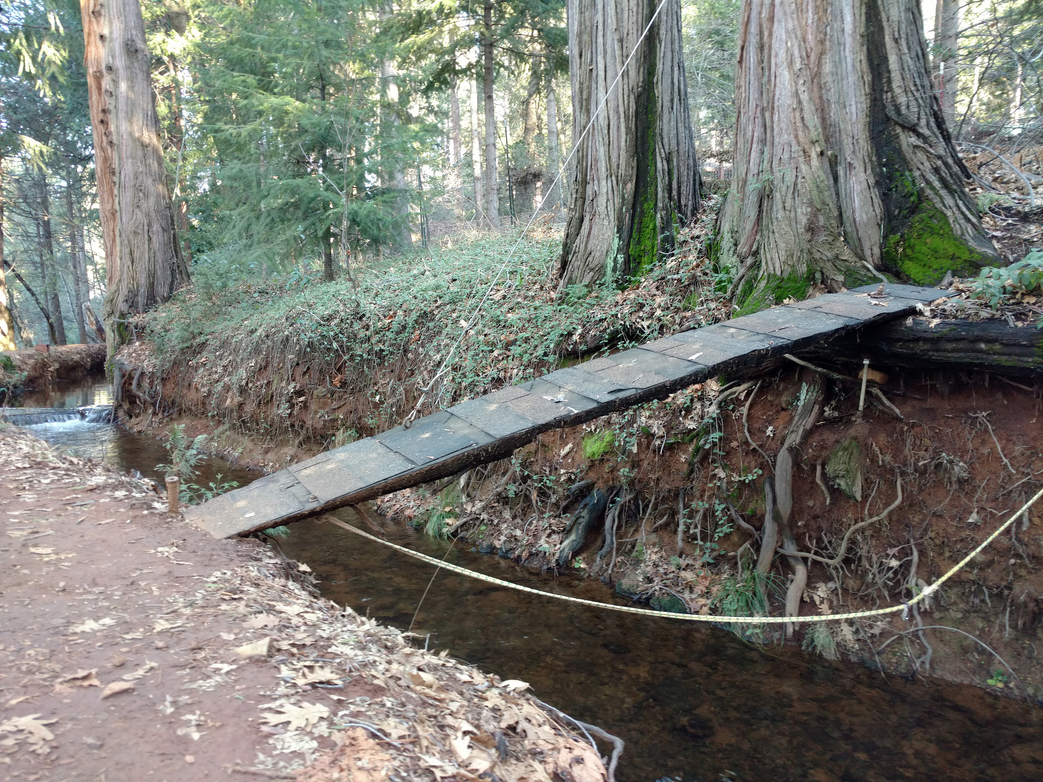 Motorola DROID Turbo 2 sample photo