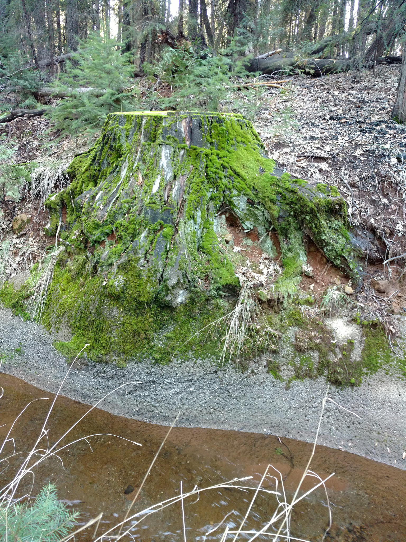 Motorola DROID Turbo 2 sample photo