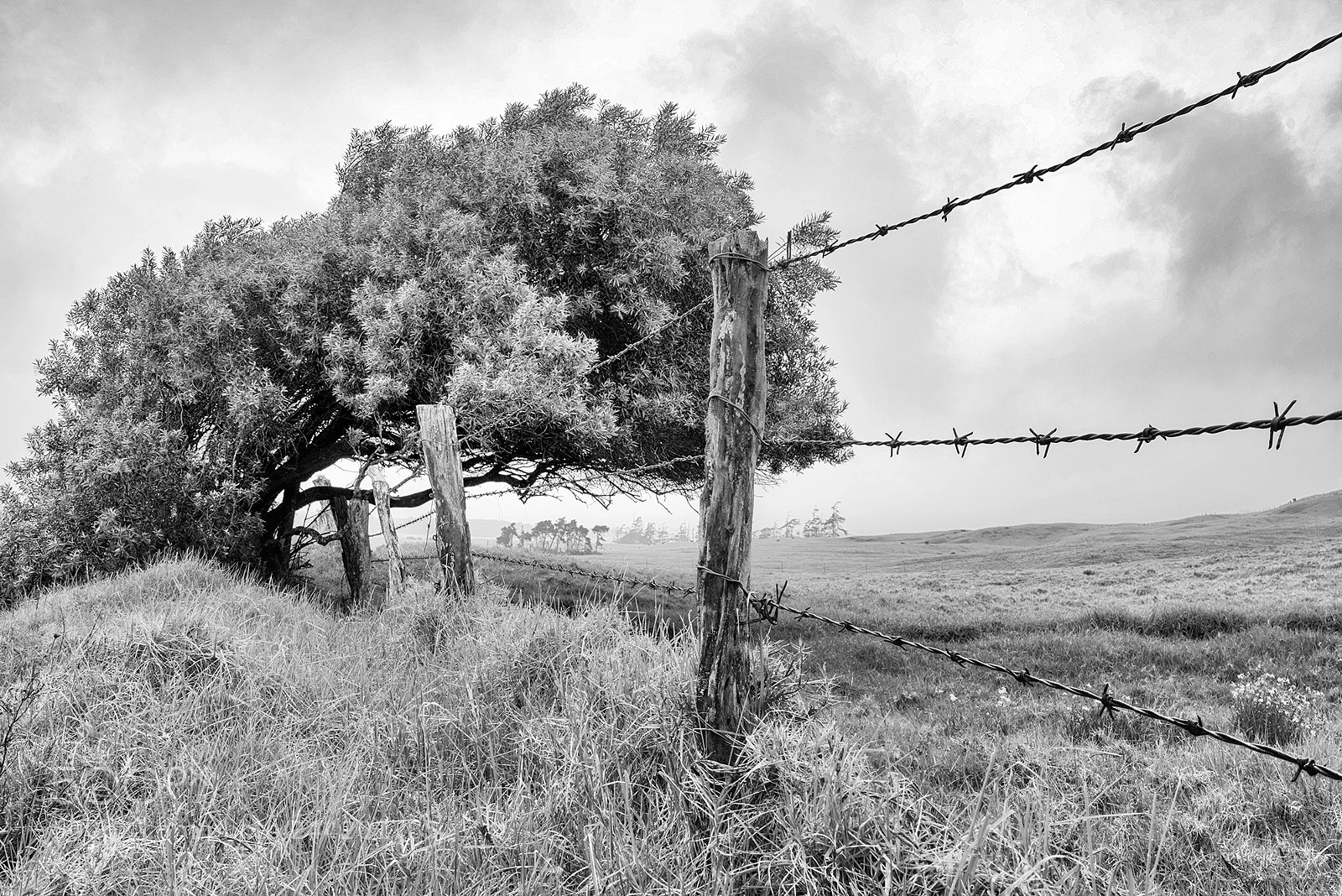 Sony a7 sample photo. Restricted photography