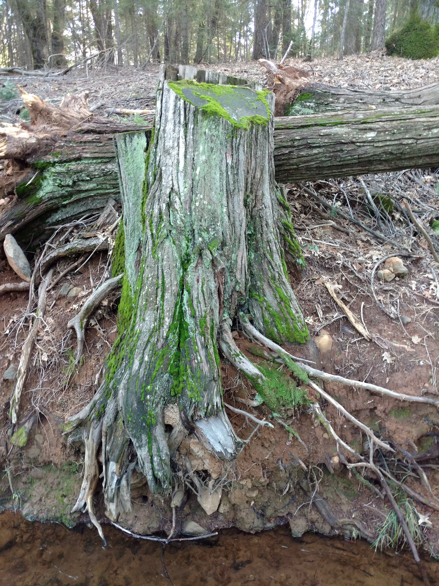 Motorola DROID Turbo 2 sample photo