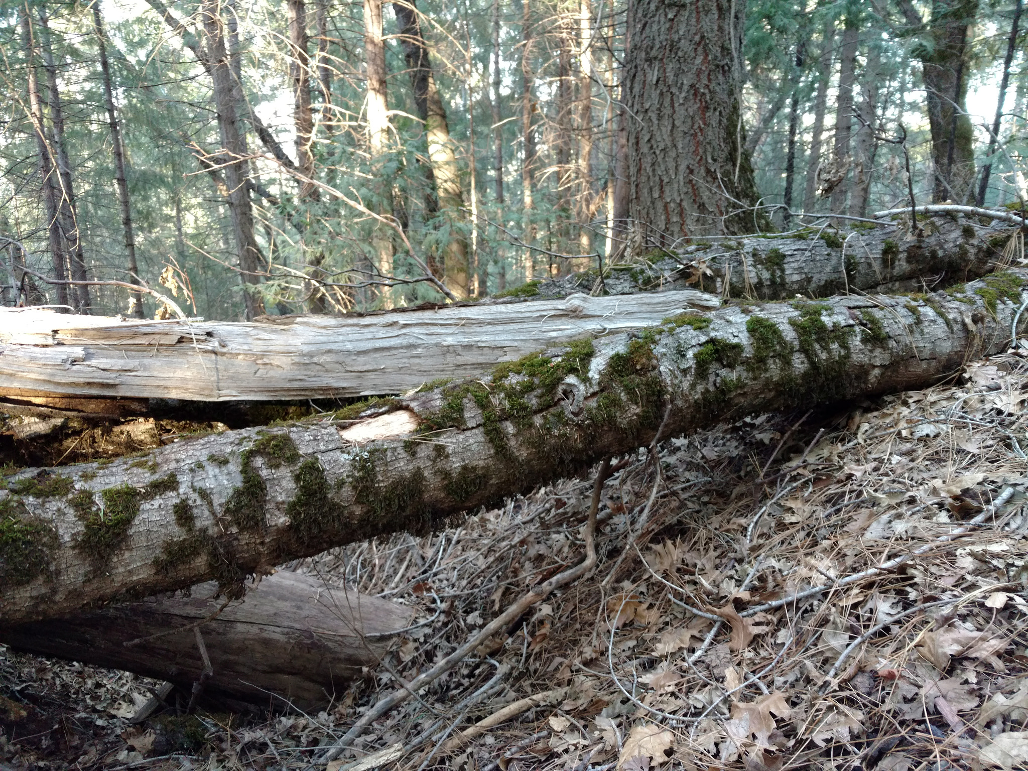 Motorola DROID Turbo 2 sample photo. Hiking photography