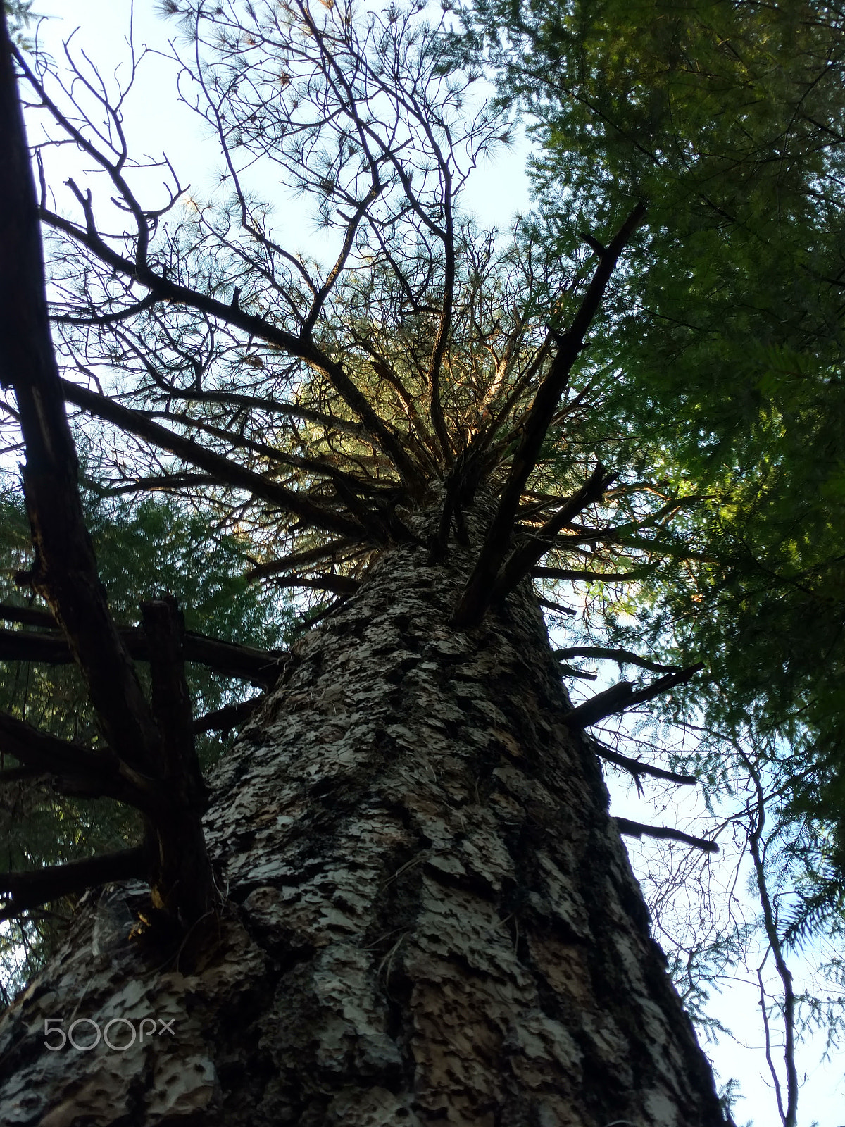 Motorola DROID Turbo 2 sample photo
