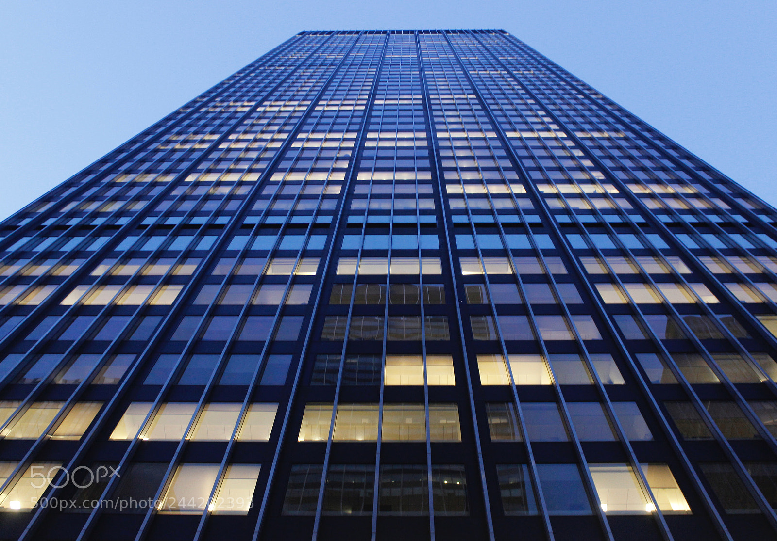 Canon EOS 600D (Rebel EOS T3i / EOS Kiss X5) sample photo. Looking up! photography