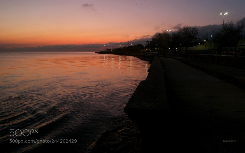 Samsung NX1 sample photo. ... photography