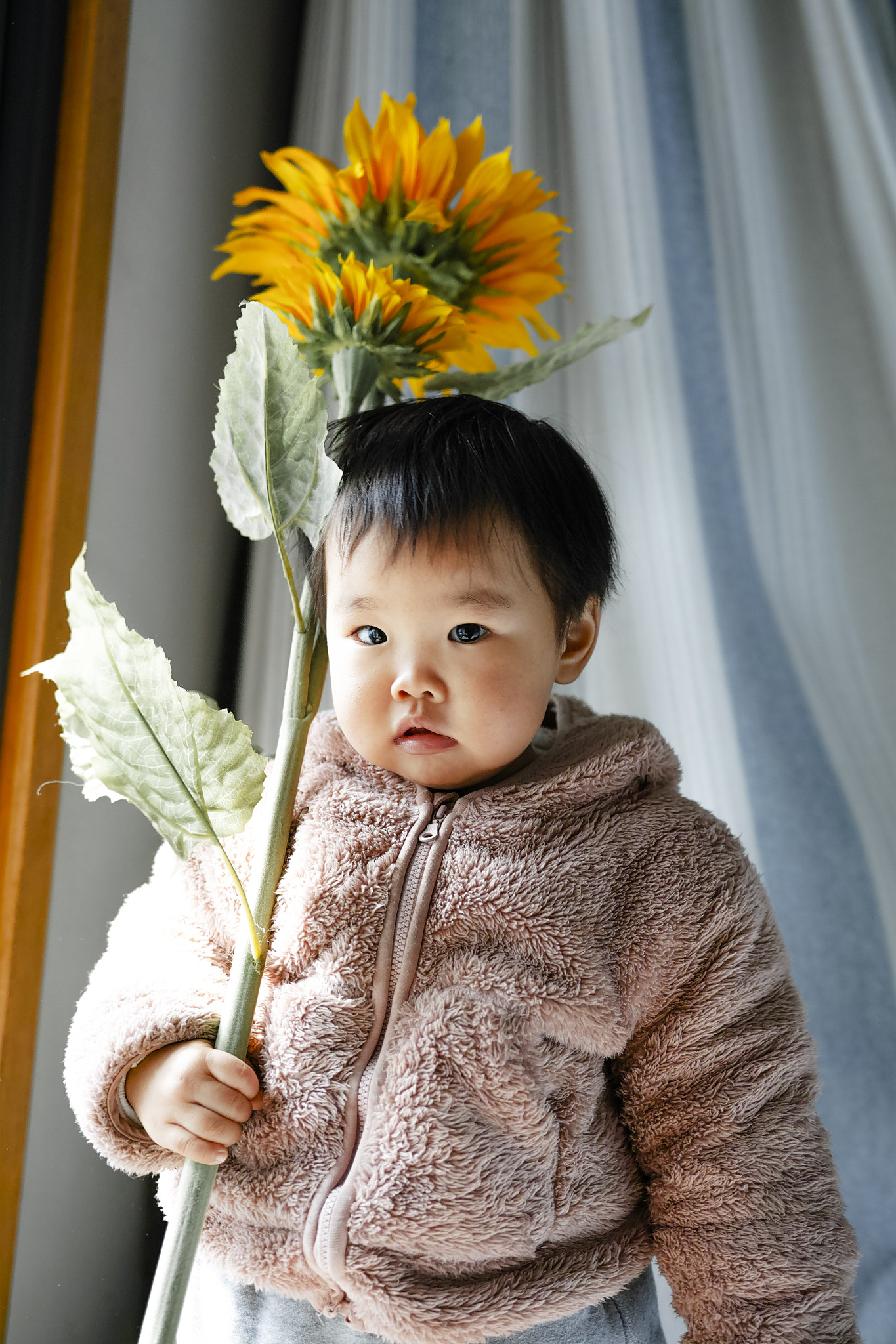 Sigma sd Quattro sample photo. 姐姐 photography