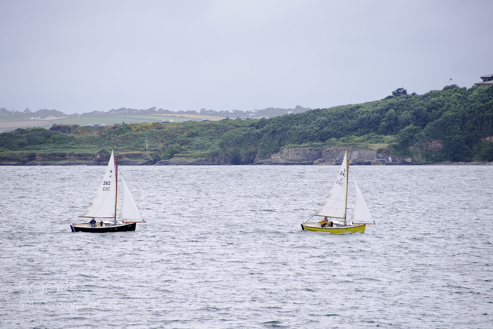 Nikon D600 sample photo. Pair heading in (1) photography