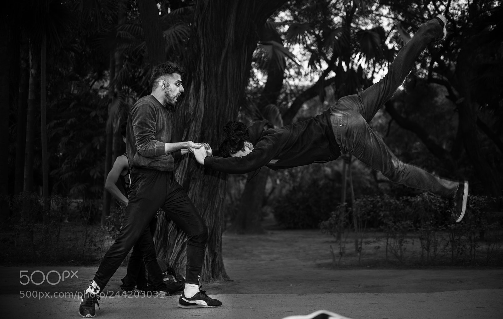 Nikon D810 sample photo. Fly away photography