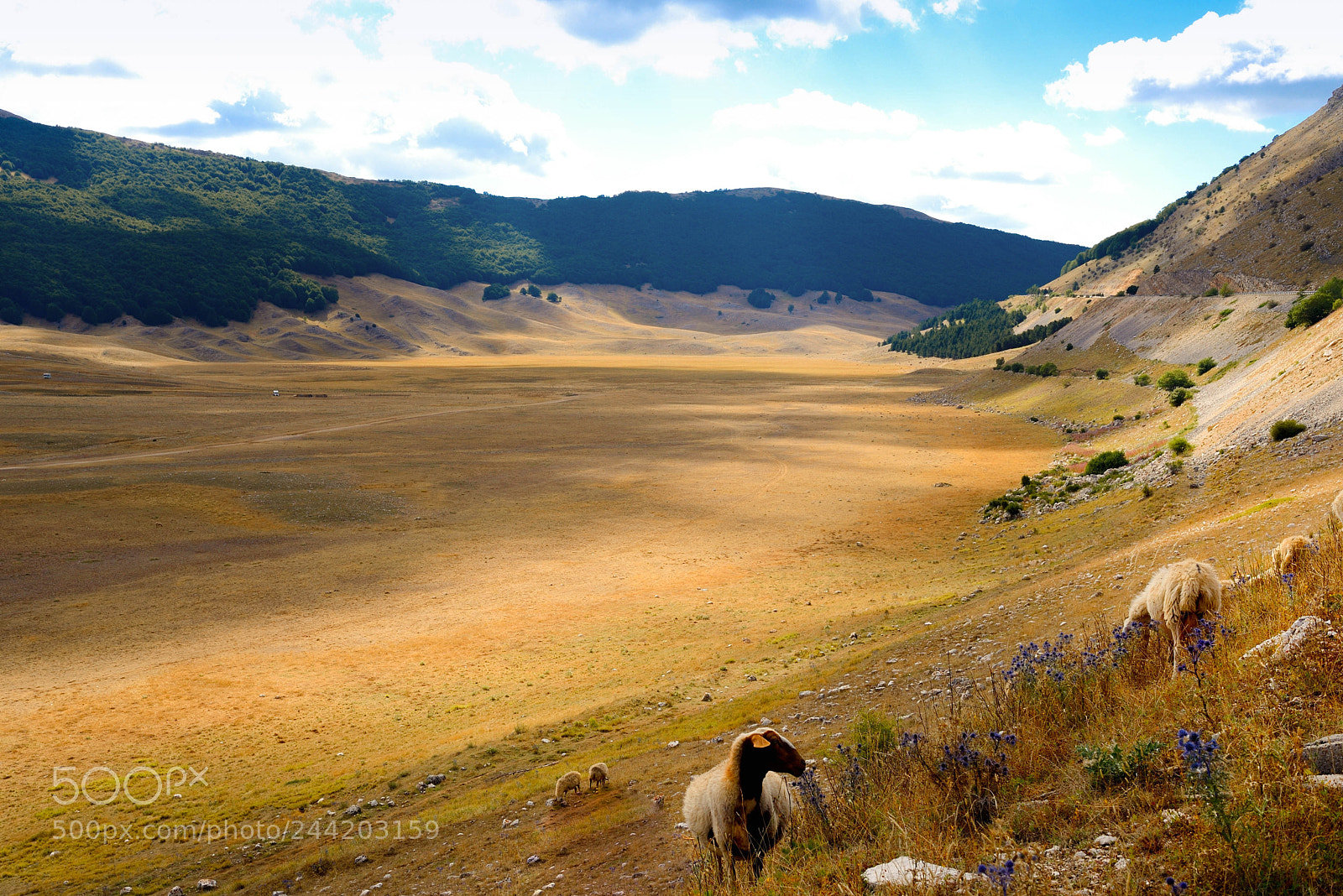 Nikon D600 sample photo. Vallate d'abruzzo photography