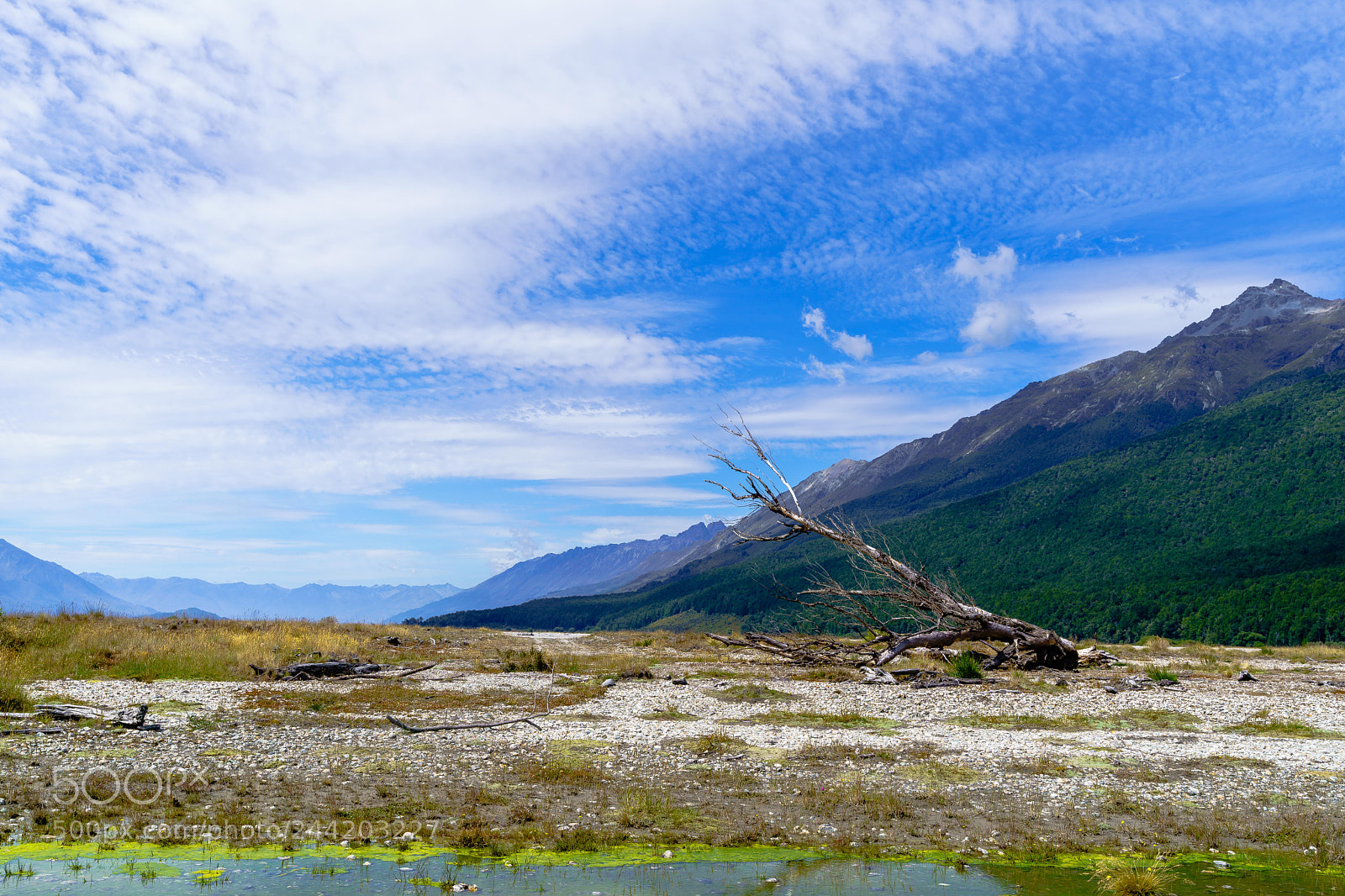 Sony a9 sample photo. Dart valley photography