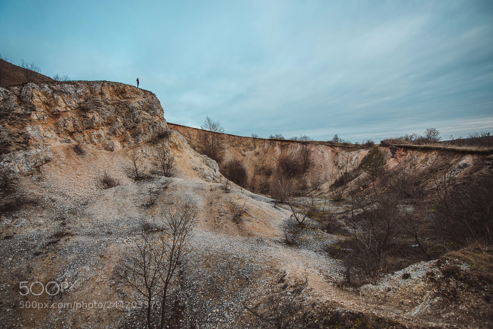 Nikon D610 sample photo. Watching the horizon photography