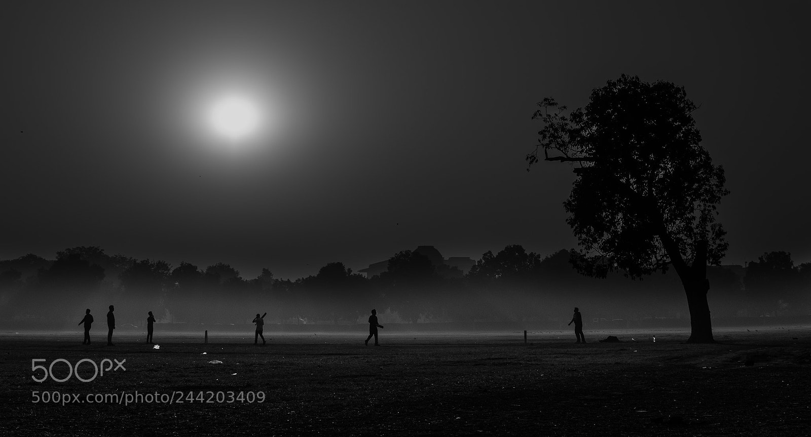 Nikon D810 sample photo. Morning play photography