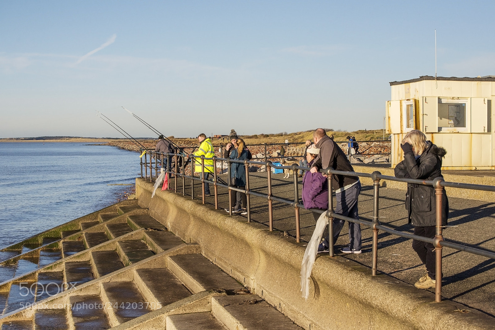 Nikon D600 sample photo. Some fish, some watch (1) photography
