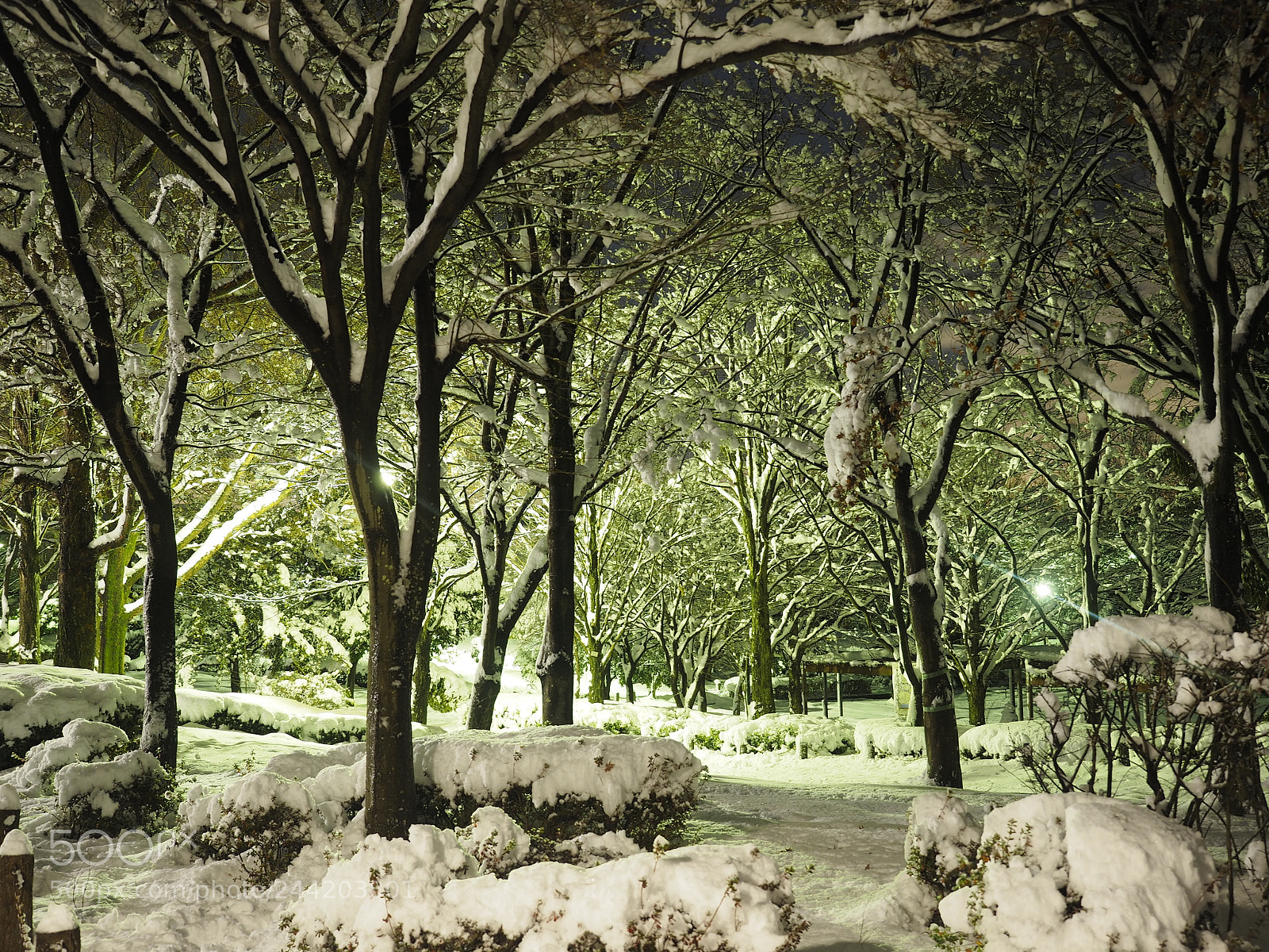 Olympus OM-D E-M1 sample photo. Snow scene at the photography
