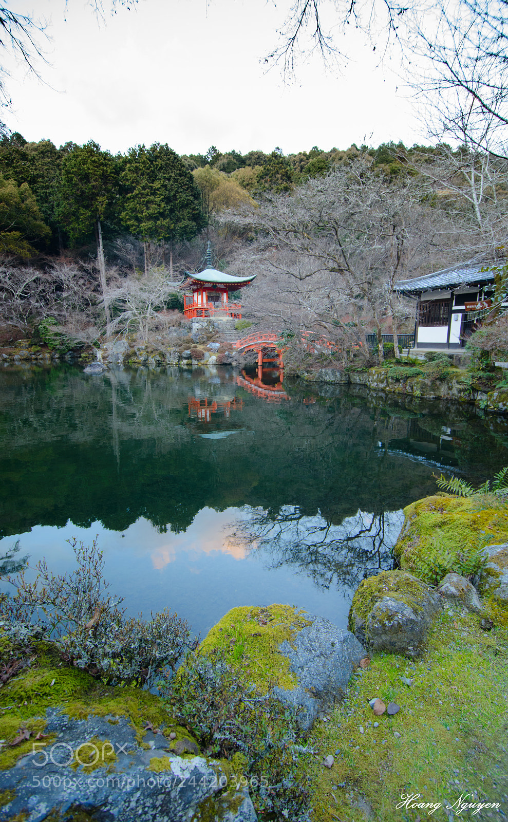 Nikon D800 sample photo. Silent photography