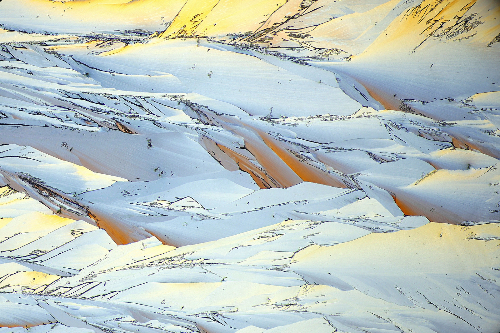 Canon EF 100mm F2.8L Macro IS USM sample photo. Microspic landscape photography