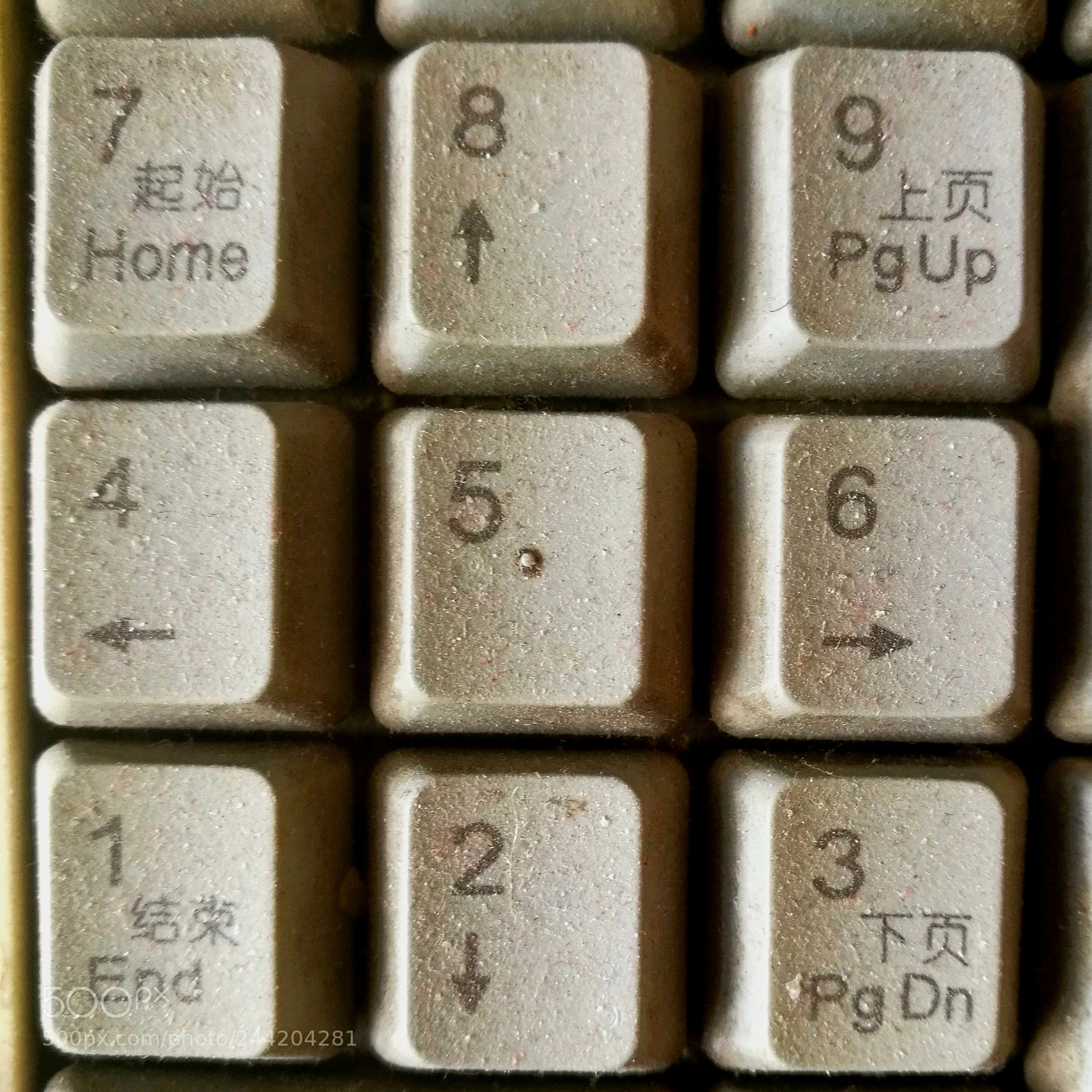 HUAWEI Honor 8 sample photo. Untitled photography