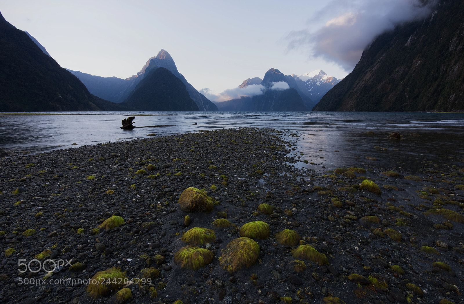 Nikon D810 sample photo. Milford sound photography