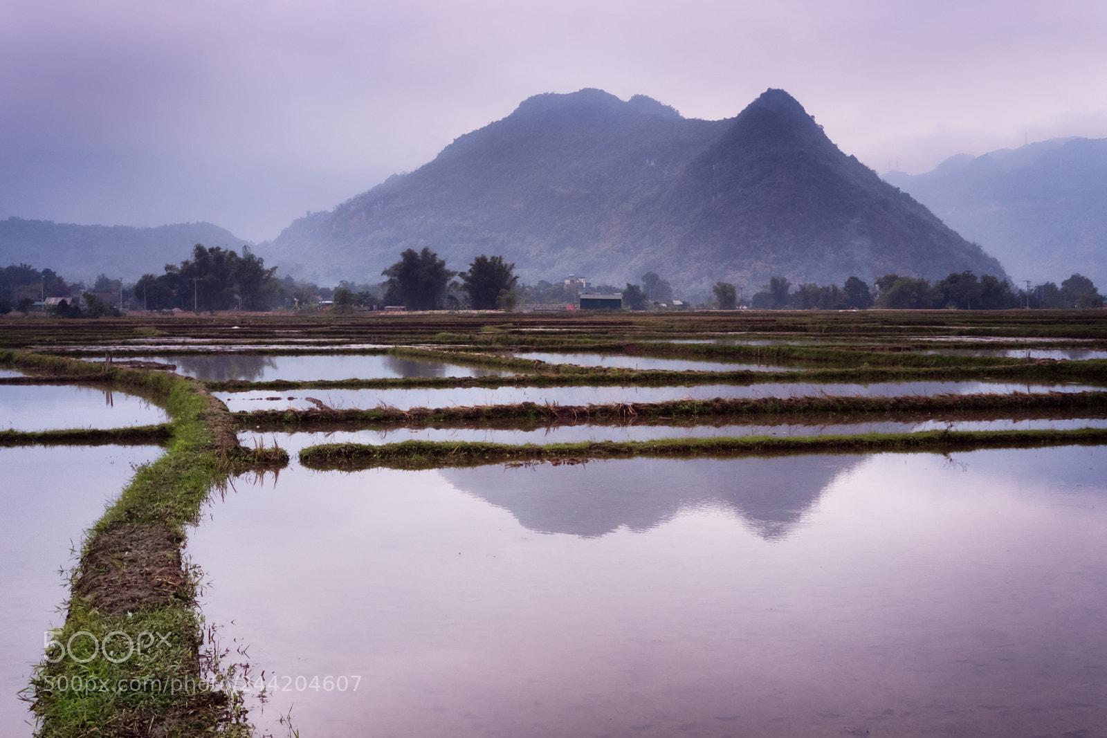Fujifilm X-Pro1 sample photo. Kling klang photography