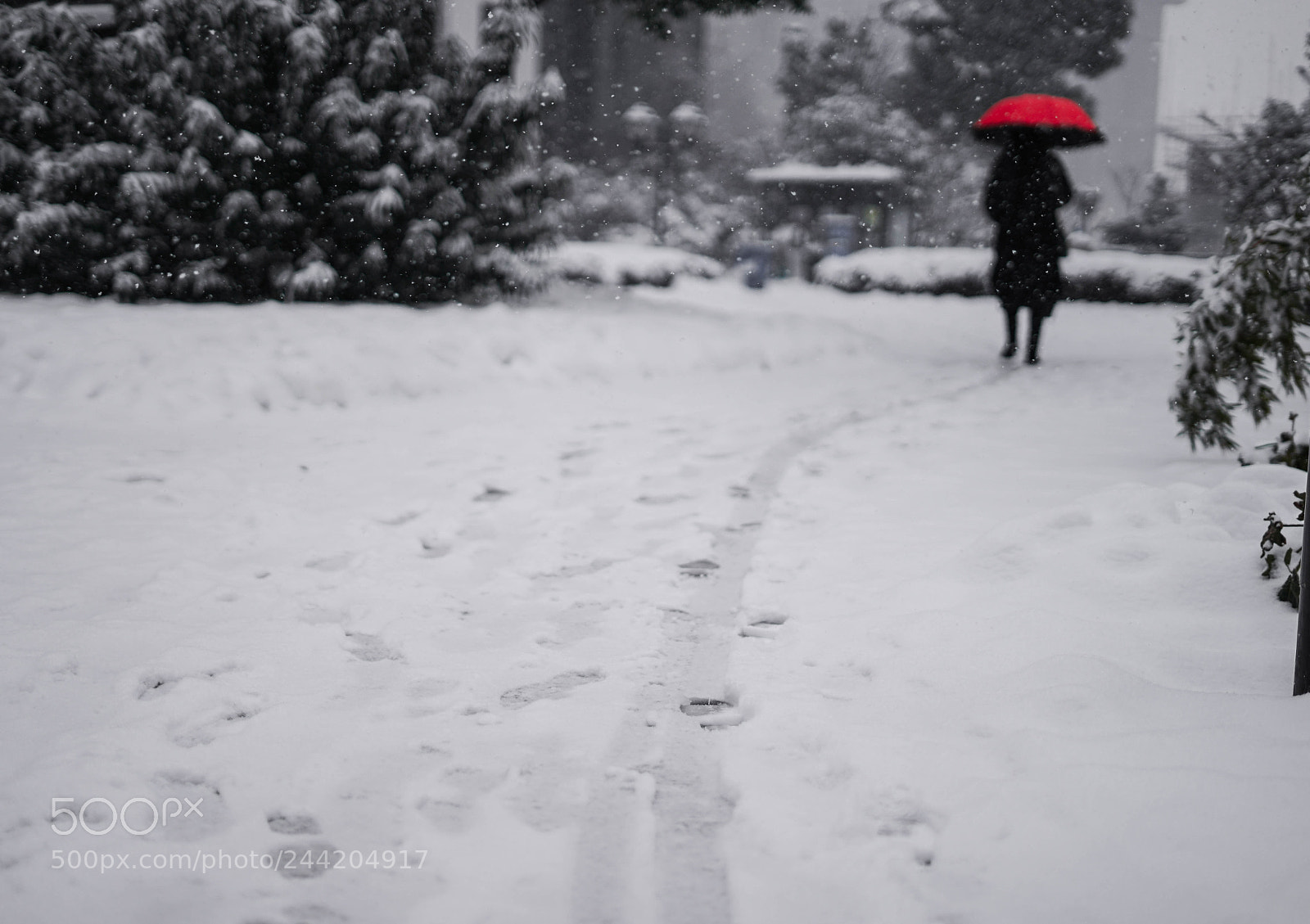 Sony a7 II sample photo. 背影 photography