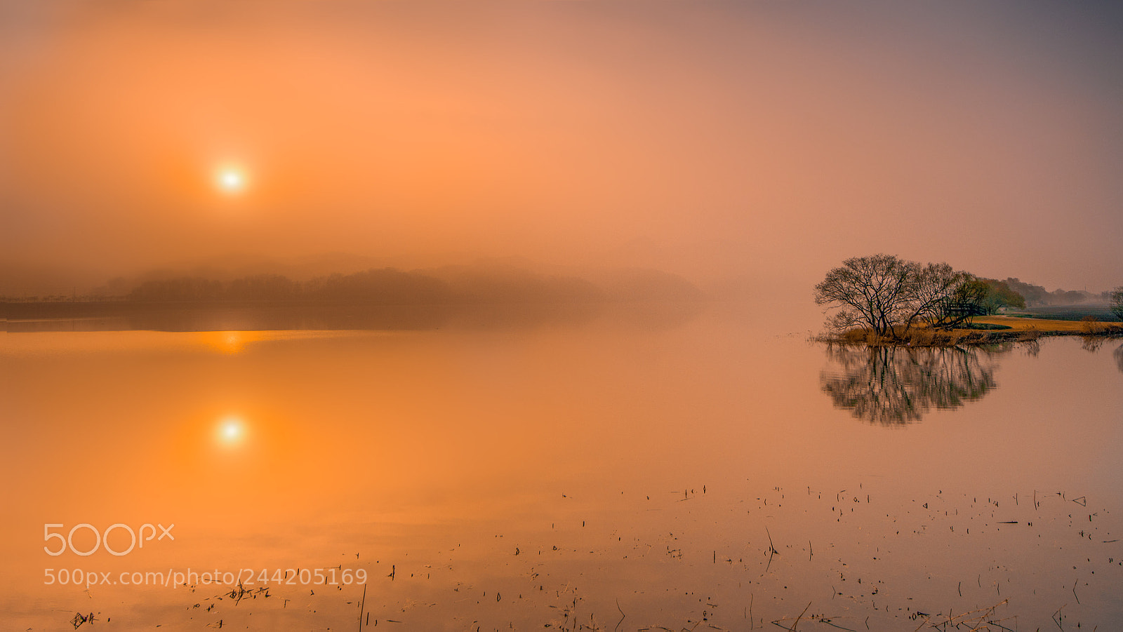 Nikon D610 sample photo. The misty sunrise in photography