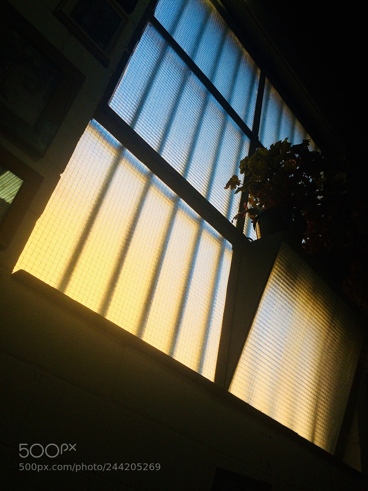 Apple iPhone 5s sample photo. Img e photography