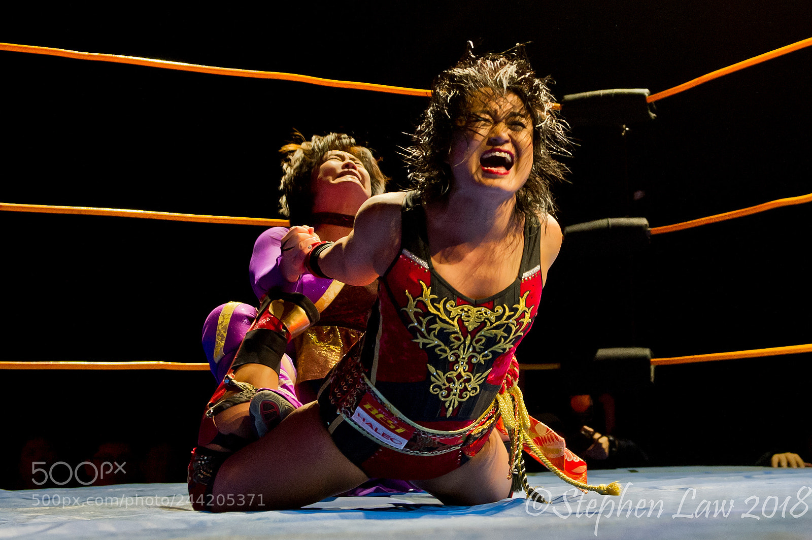 Nikon D3S sample photo. Woman wrestling photography