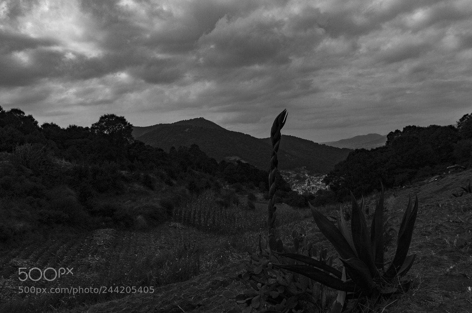 Sony SLT-A37 sample photo. Paisaje photography