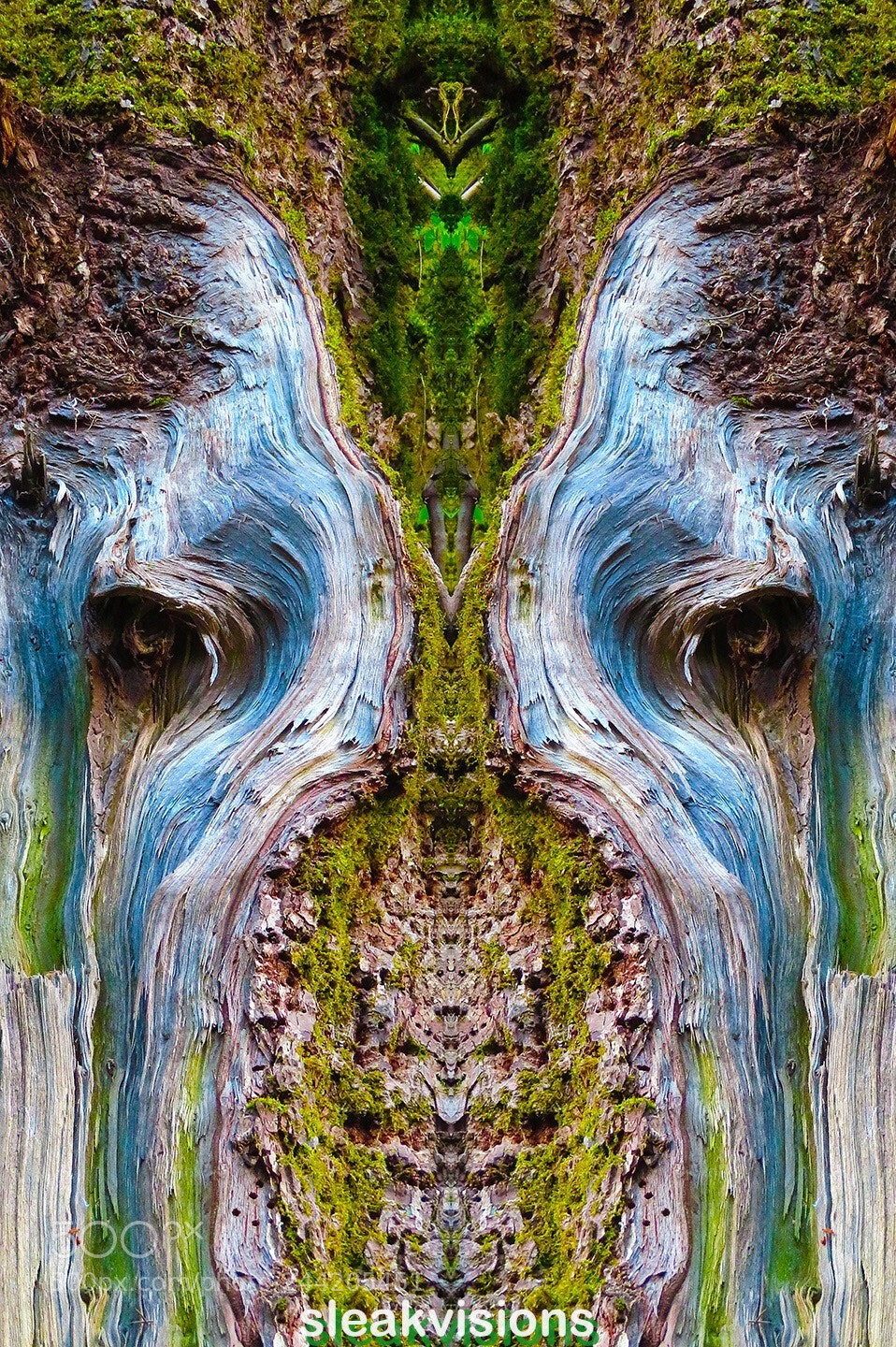 Canon PowerShot SX720 HS sample photo. A mirrored image of photography