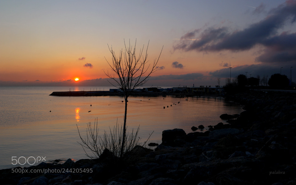 Samsung NX1 sample photo. ... photography