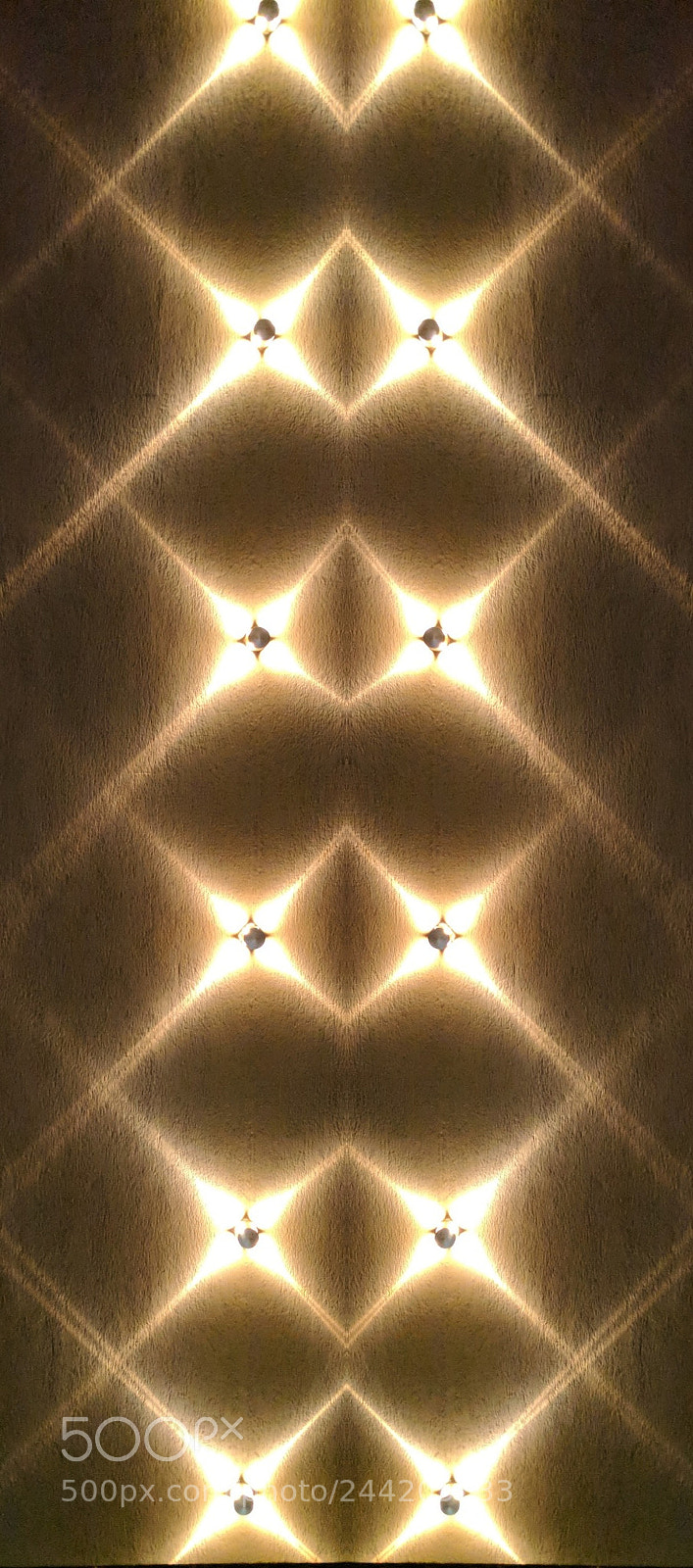 Google Pixel sample photo. Illuminate photography