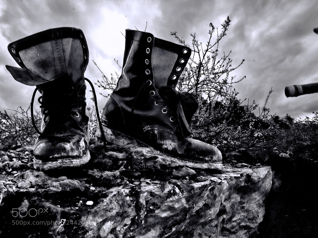 Canon EOS-1Ds Mark III sample photo. B&w photography