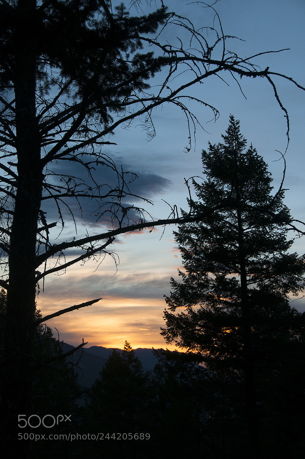 Nikon D300 sample photo. Sunset photography