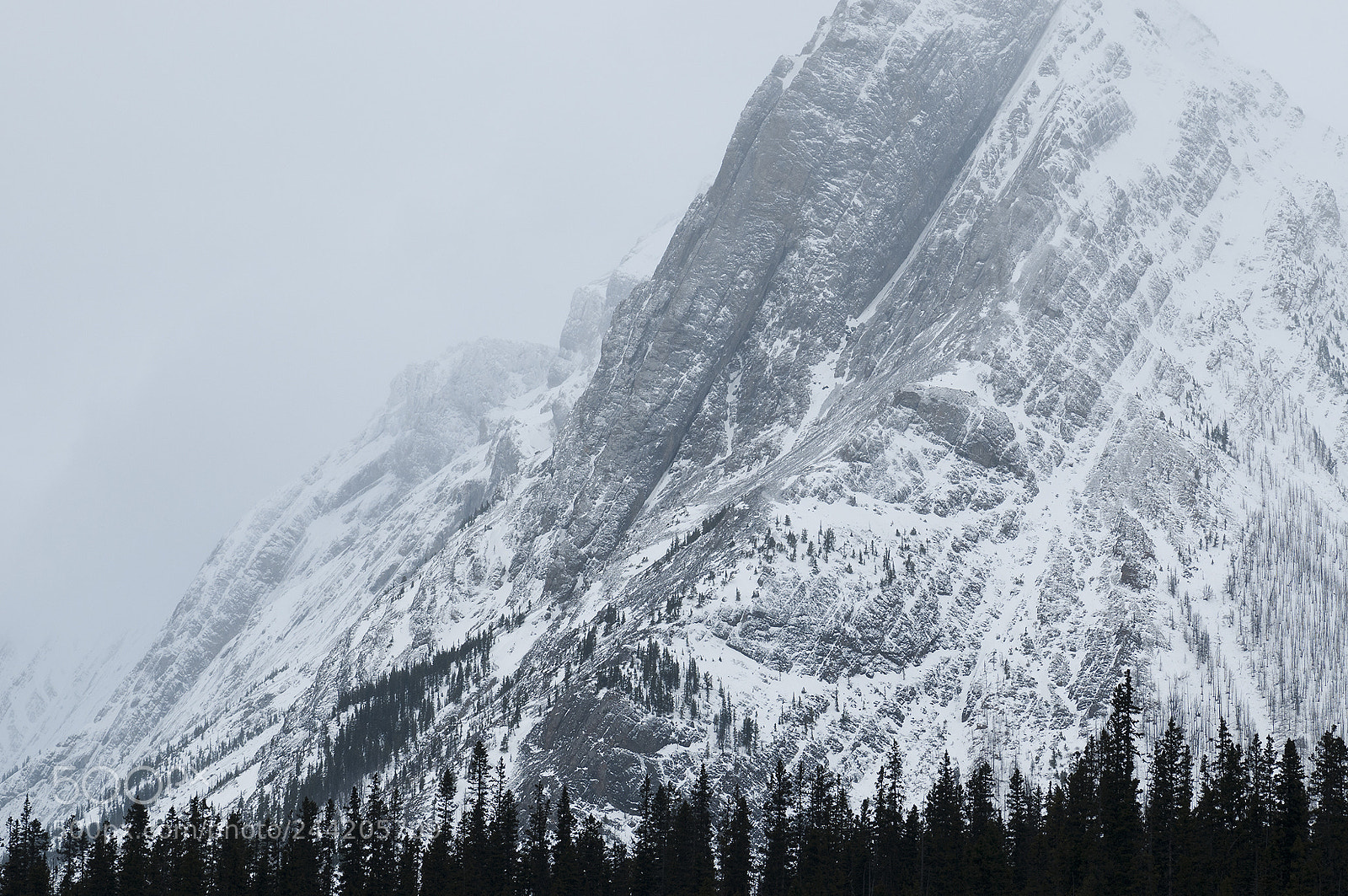 Nikon D300 sample photo. Of cone mountain photography