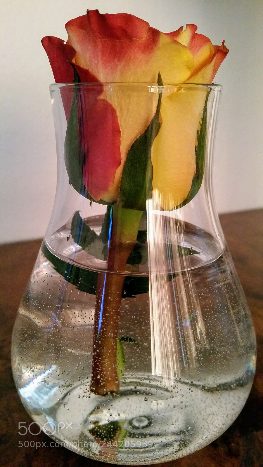 Samsung Galaxy S5 sample photo. Untitled photography