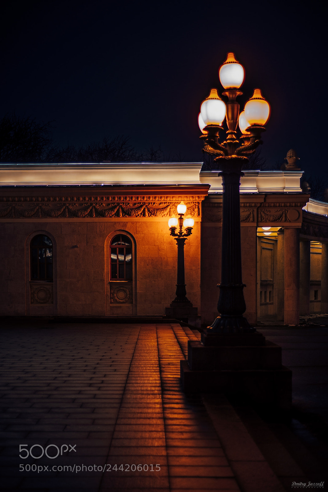 Nikon D610 sample photo. Yellow street lamp photography