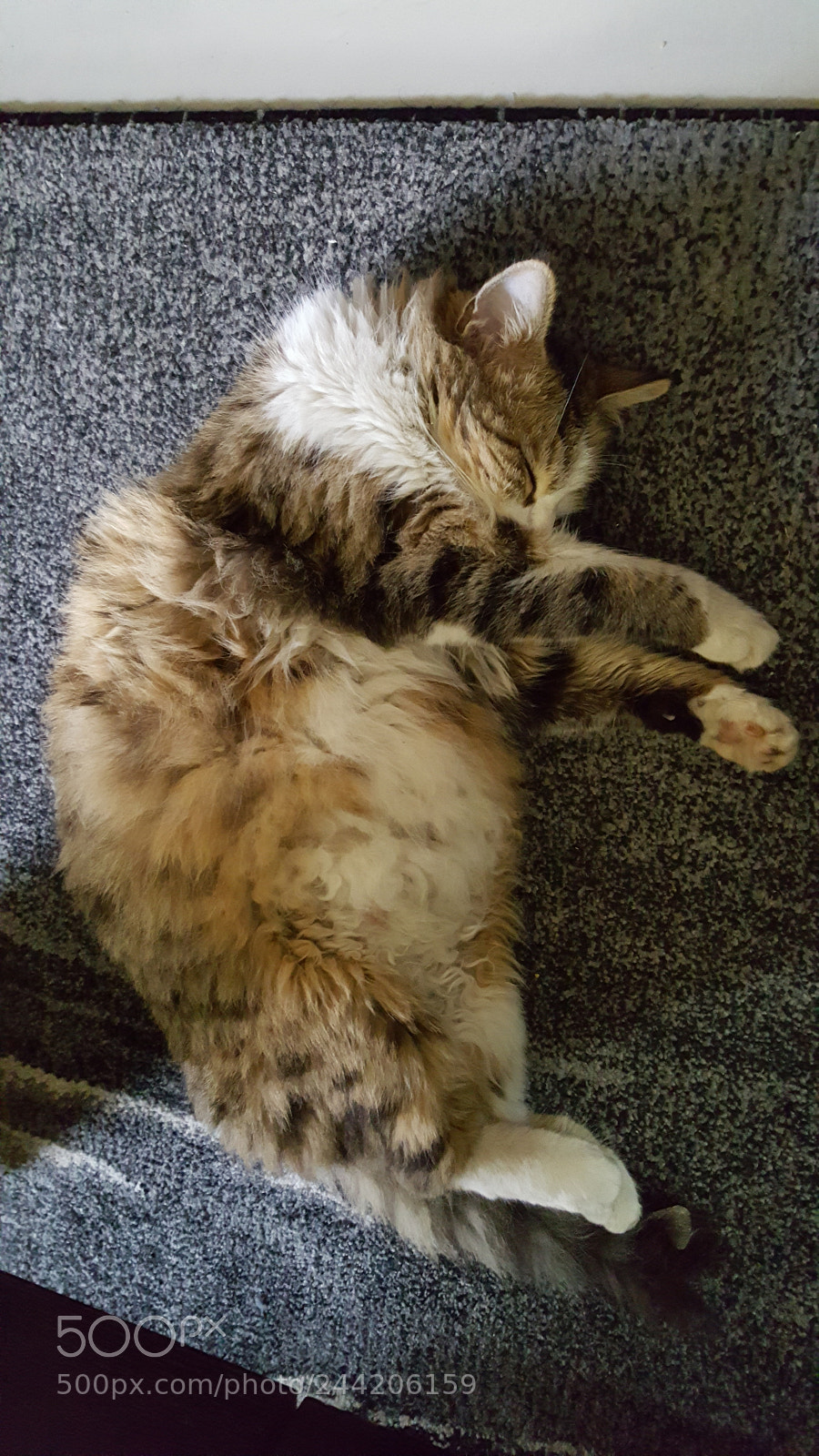 Samsung GALAXY S6 edge sample photo. Tamara :asleep photography