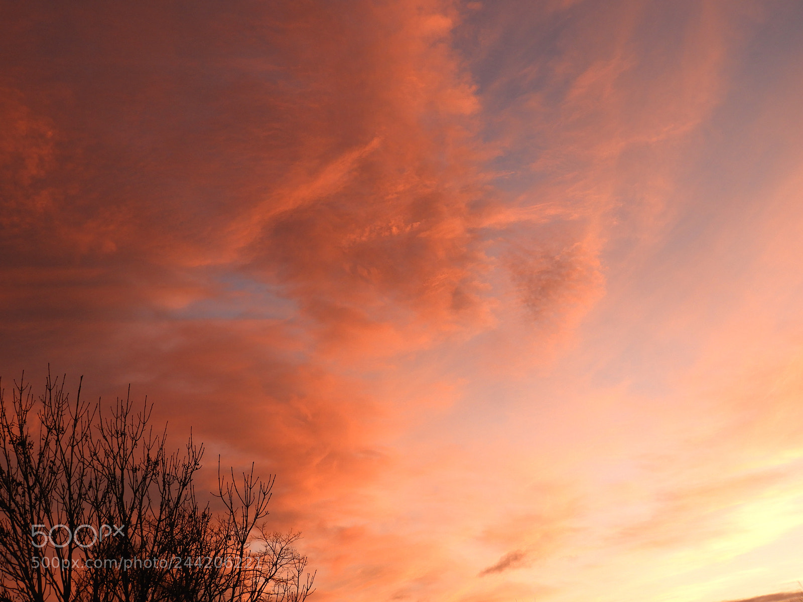 Nikon Coolpix B700 sample photo. Cambridge sunrise on monday photography