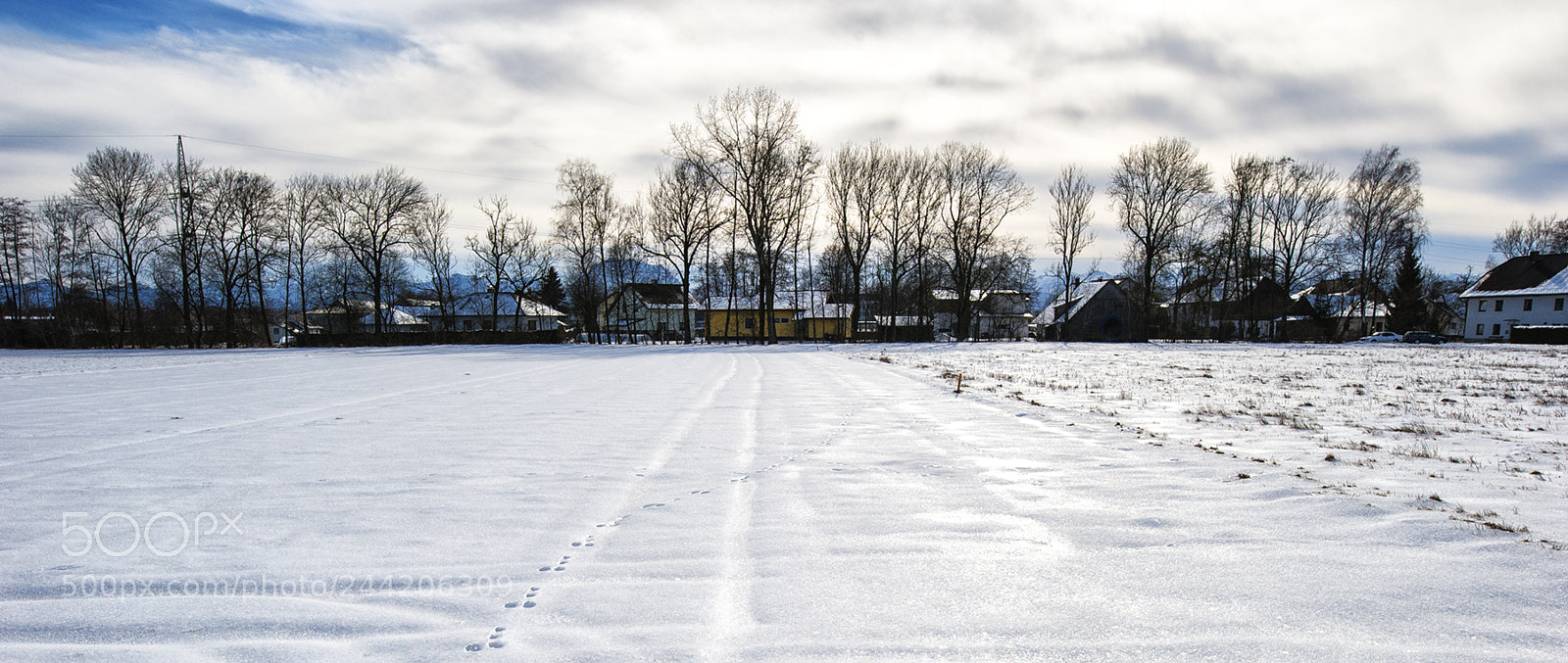 Nikon D700 sample photo. With land photography