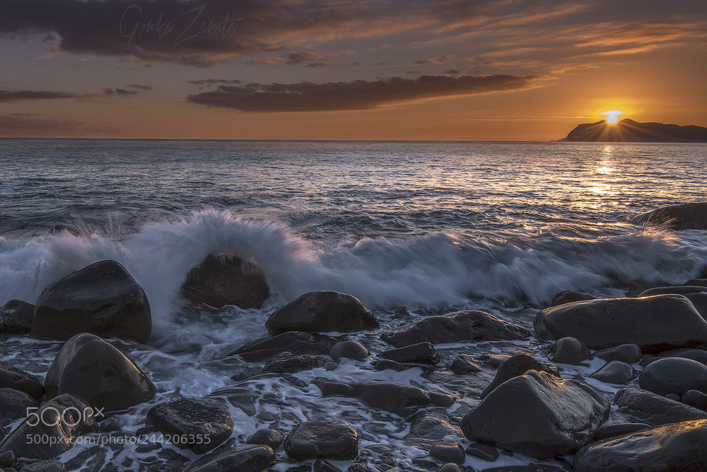 Nikon D810 sample photo. Explosión en arribolas photography