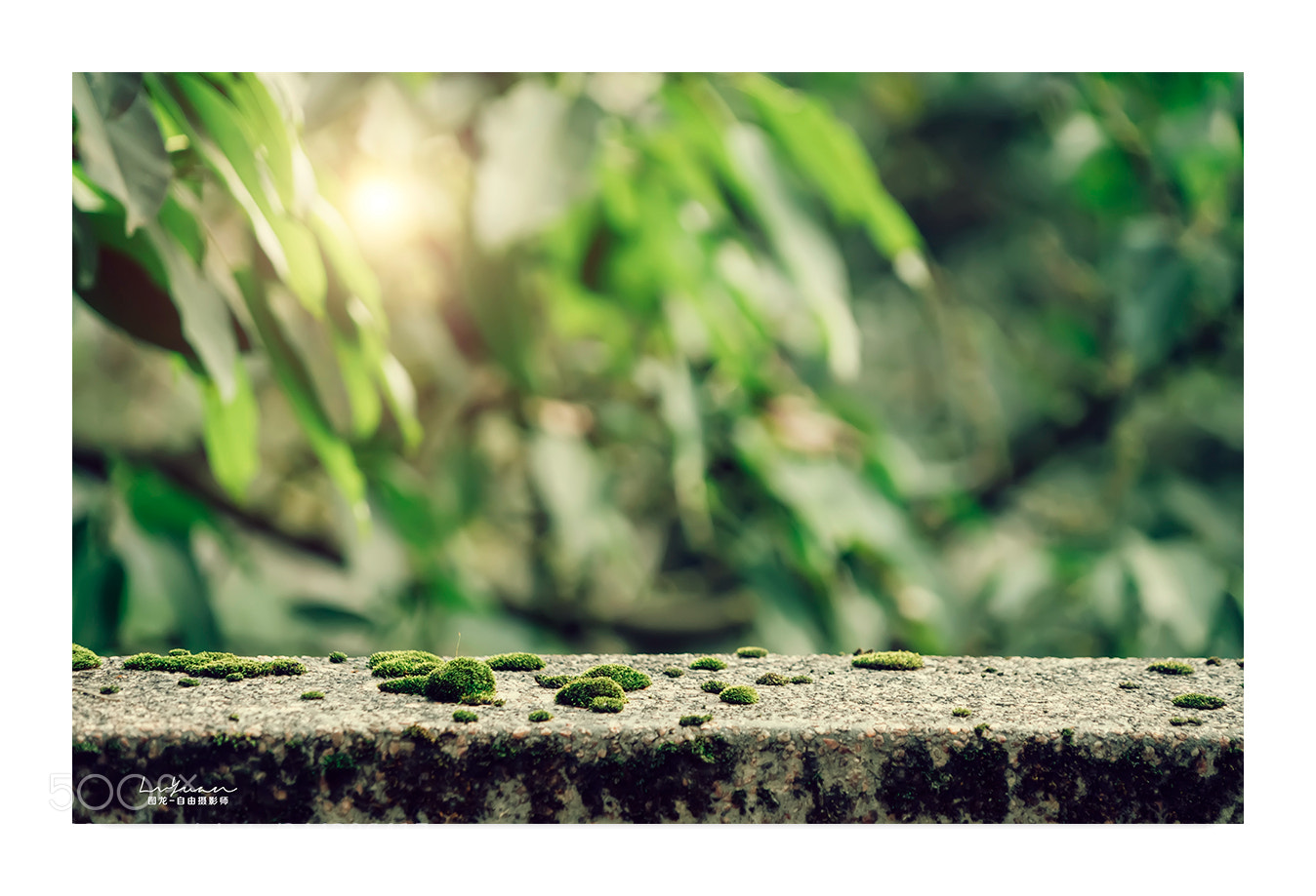 Sony a7 II sample photo. Untitled photography