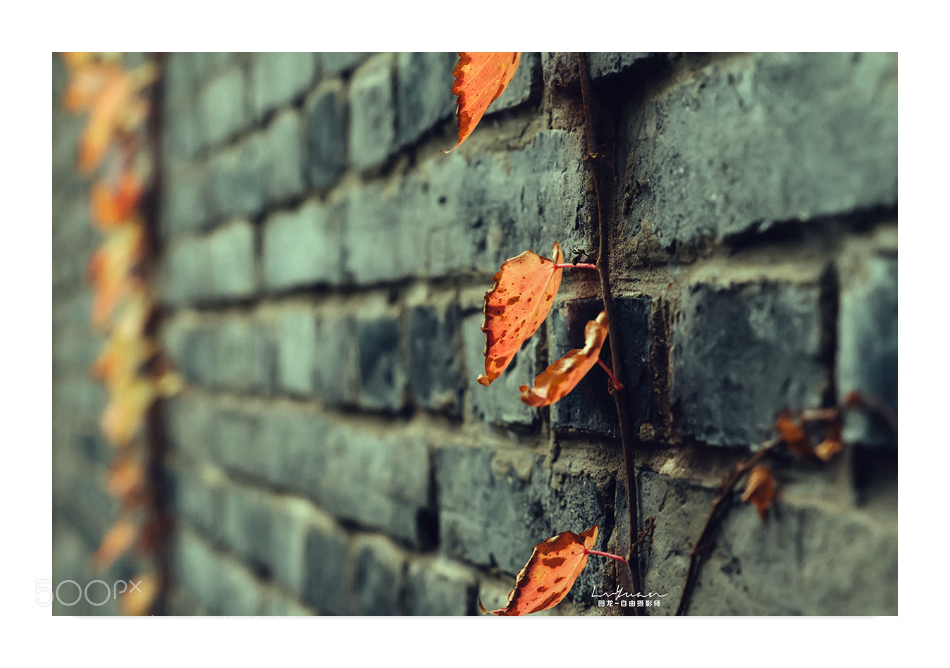 Sony a7 II sample photo. Untitled photography