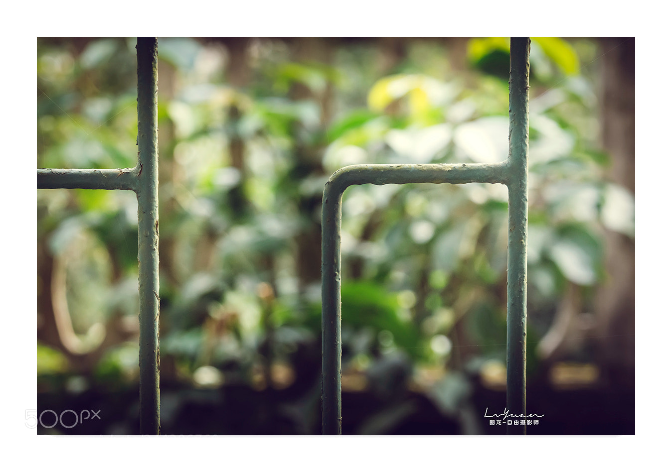 Sony a7 II sample photo. Untitled photography