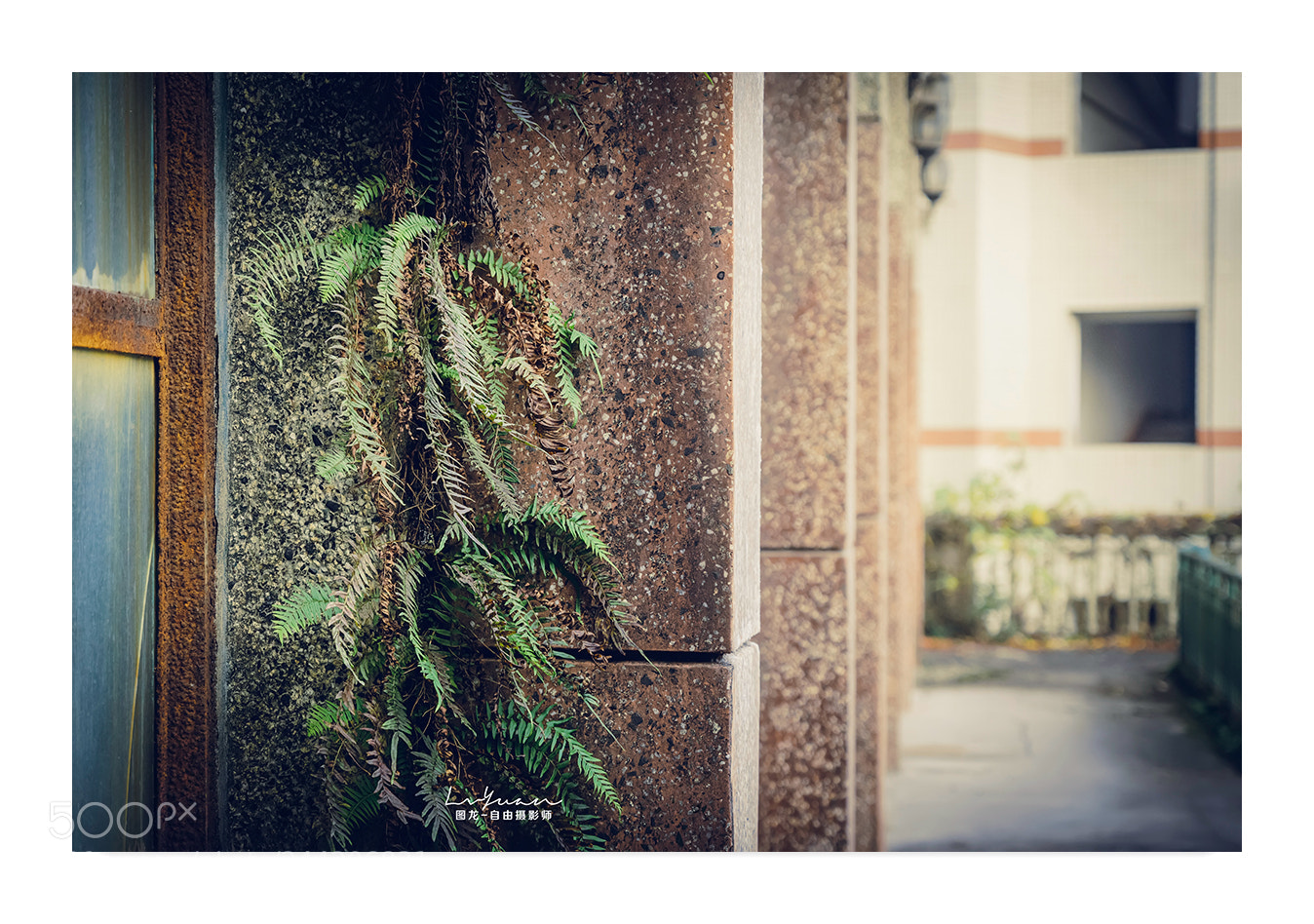 Sony a7 II sample photo. Untitled photography