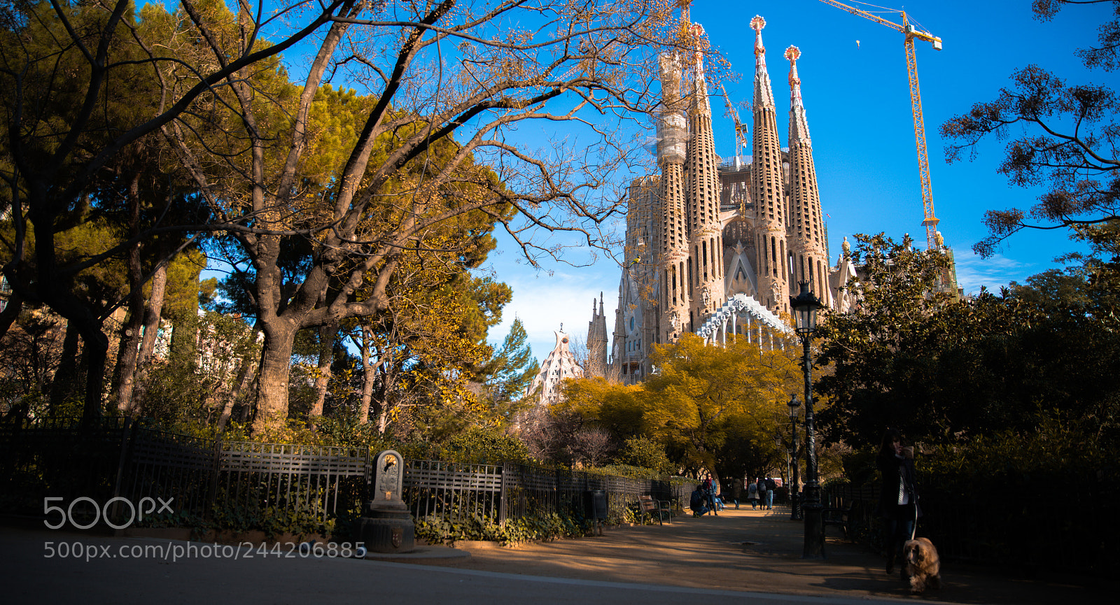 Sony a7R II sample photo. Fascinating architecture photography