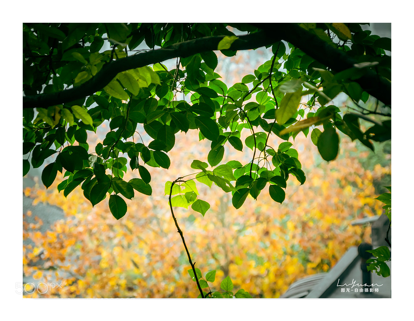 Sony a7 II sample photo. Untitled photography