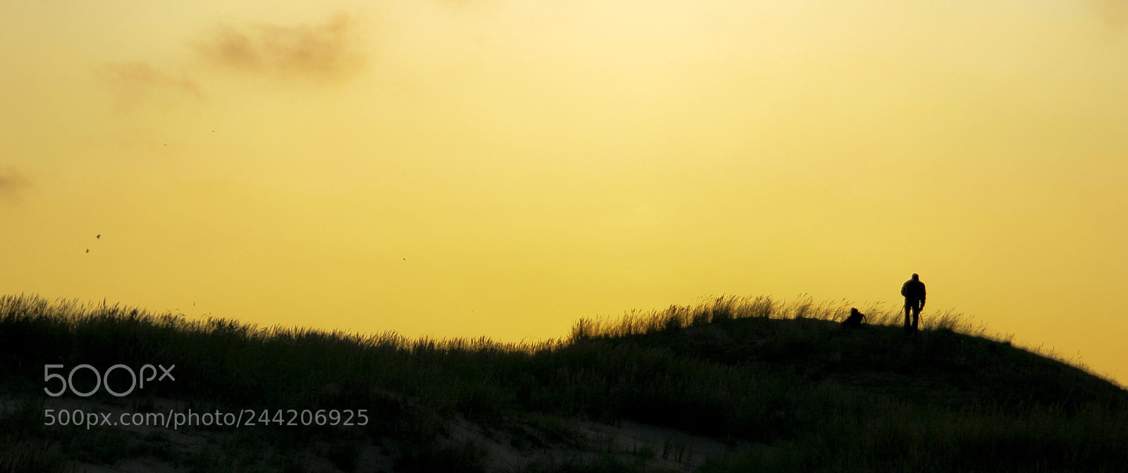 Canon EOS 30D sample photo. * photography