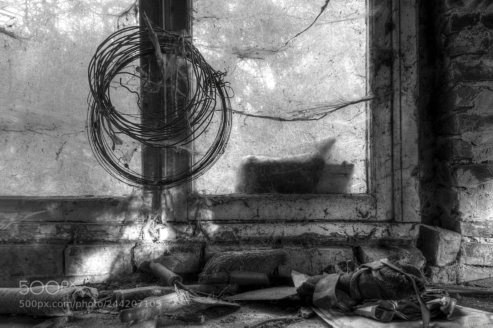 Olympus PEN E-PL7 sample photo. Wire photography