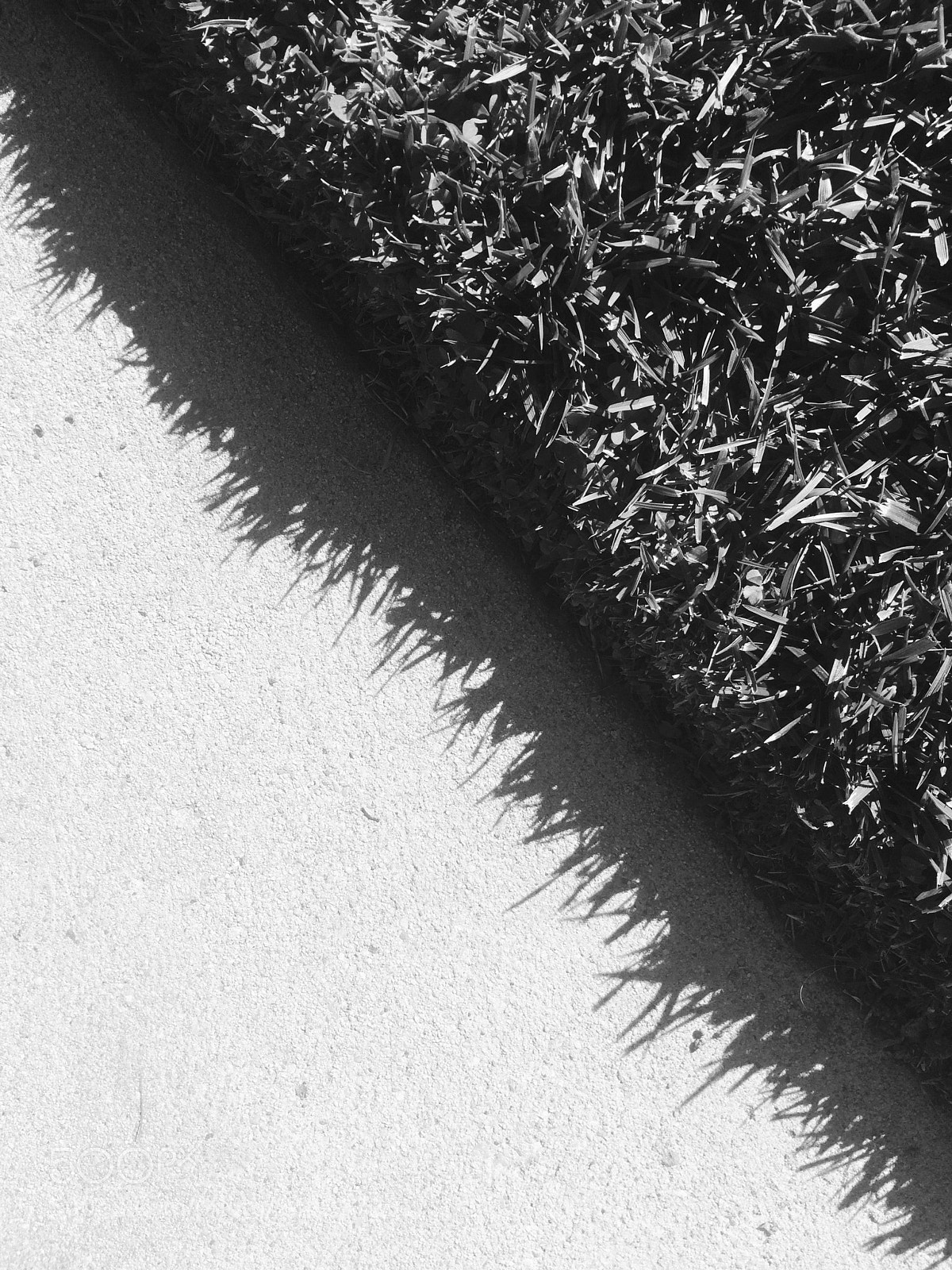 Apple iPhone 5s sample photo. Day 28 of an photography