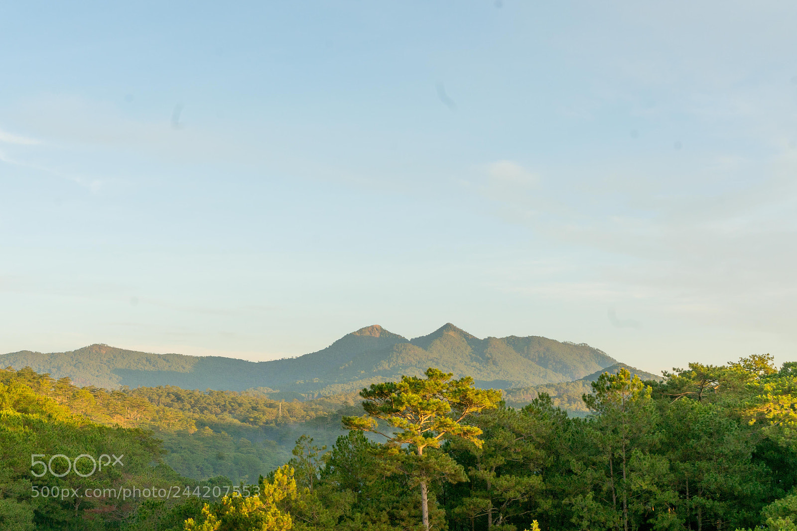 Sony a7R II sample photo. Dalat photography