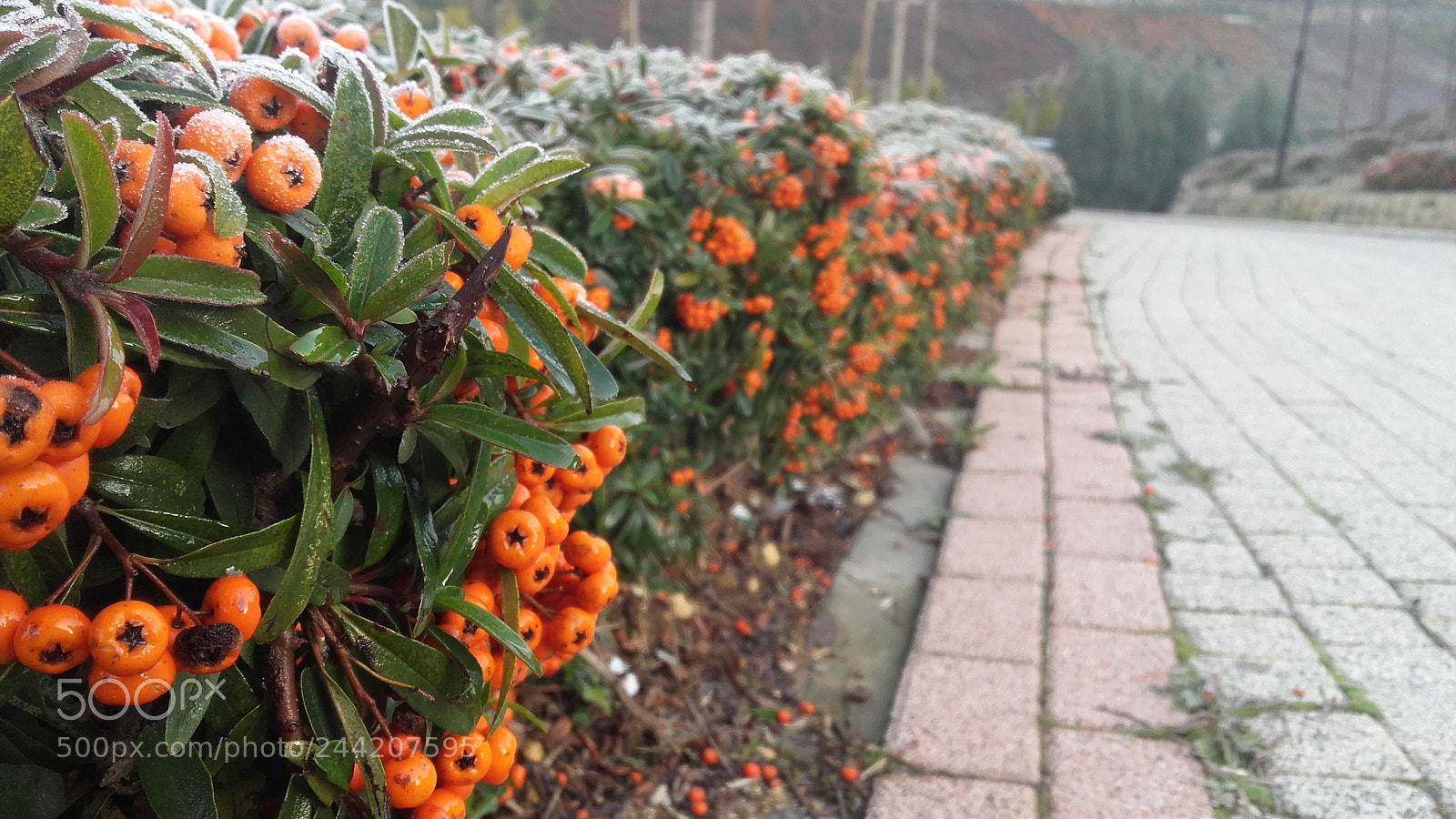 Samsung Galaxy Grand Prime sample photo. Kayasehir photography